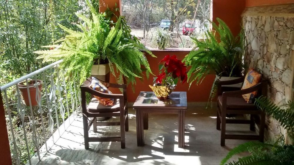 Hotel La Huerta Альенде Экстерьер фото